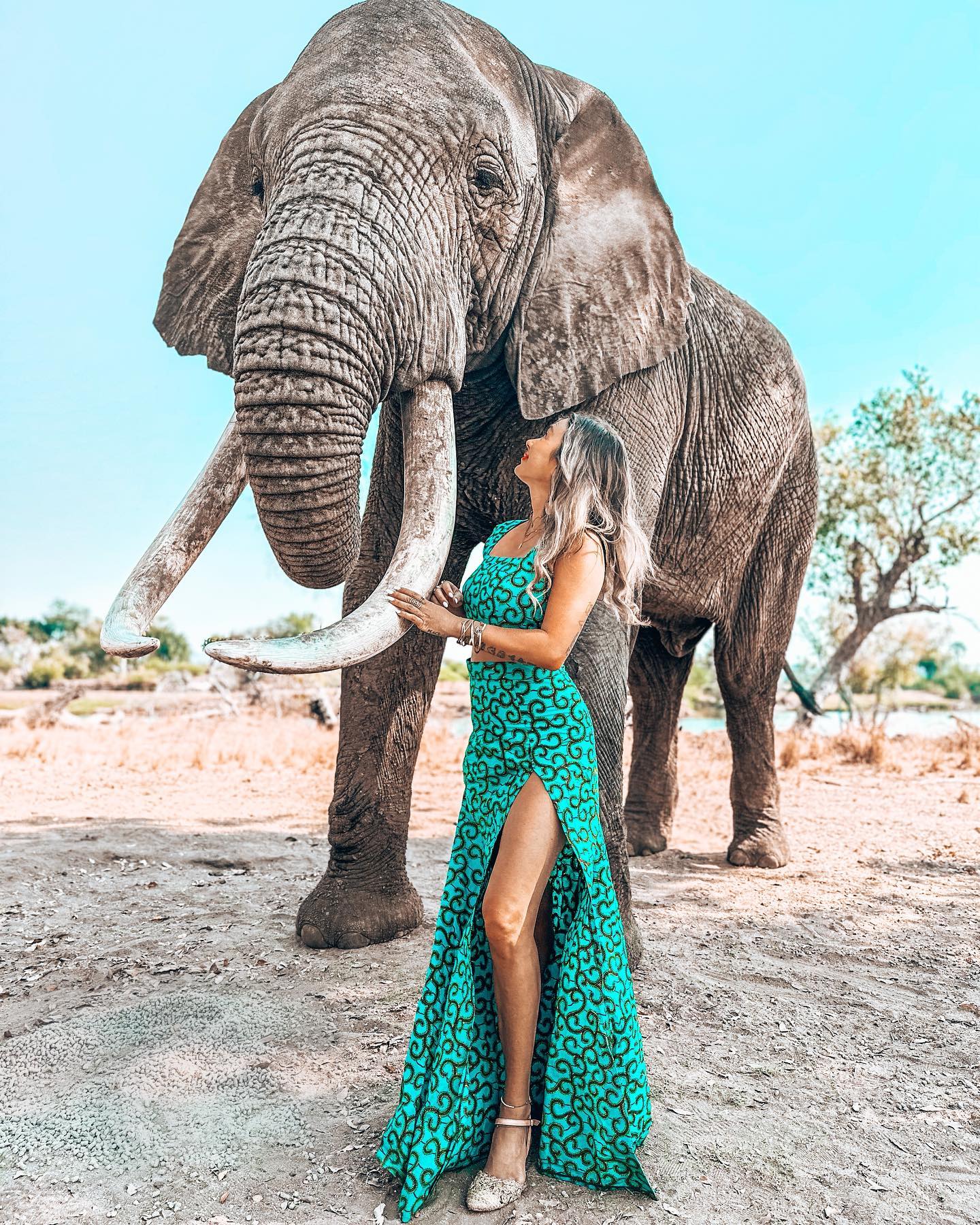 Finally getting a chance to post after over a week! So starting out with an elephant rescue I went to 6 years ago that I am grateful to have brought my group to last week!

This is at @theelephantcafezambia — one of the few places I have heard of that used to allow elephant riding, but stopped when they saw that many people were against it on social media. Instead, they opened a beautiful lunch spot with incredible food, and they use that to profit (both for the humans and the elephants) instead of forcing the animals to be ridden.

The elephants are still free-roaming 正规极速赛车平台✪As well, but they will come up to the cafe area for “treats” which is how you can take photos with them. It’s still not total freedom but at least a step in the right direction.

Is meeting an elephant on your bucketlist? Which of these is getting put on my CasitAlyssa wall??

Moments from my recent @mylifesatraveltribe group trip in #zambia #zimbabwe #botswana #africa #mylifesatravelmovie