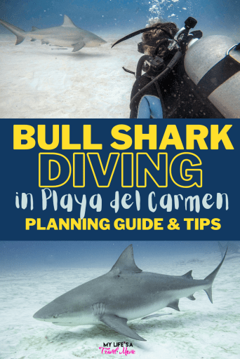 Bull shark diving in Playa del Carmen: everything you need to know! Best company to go with, when the bull sharks are here, what the shark dive is like, if the sharks are dangerous, and what camera gear to get! Check off your bucketlist of bull shark diving in Mexico now through March!

#bullshark #sharkdiving #scubadive #scubadiving #bucketlist