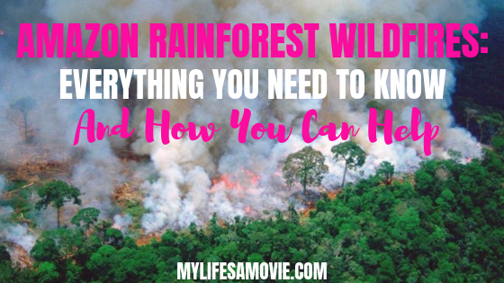 MYLIFESAMOVIE: Amazon Rainforest Wildfires: Everything You Need To Know And How You Can Help