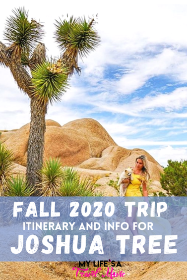 Joshua Tree is the perfect Fall 2020 trip to take! Just a short drive from Los Angeles and you'll be in what seems like "Wild West" meets "Men in Black"! Here's all of my pro tips, especially for beating the crowds, plus the best photo spots in and around Joshua Tree!