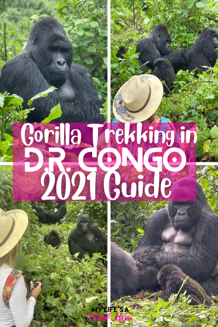 The ultimate guide to gorilla trekking in 2021! Recently I traveled solo to D.R. Congo to go gorilla trekking, and can't believe how incredible it was! This full guide to gorilla trekking will give you every detail and piece of info you need to make your bucketlist dream come true!       #drcongo #congo #gorillatrekking #bucketlist #solotravel