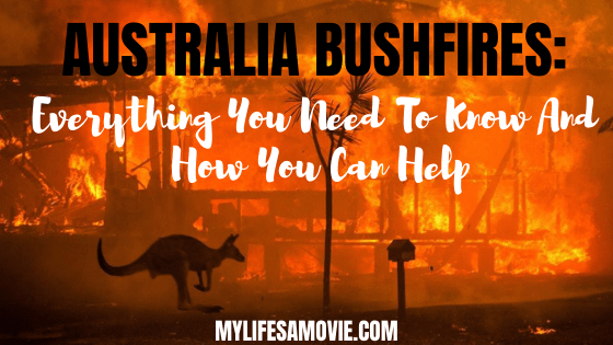 Australia Bushfires: Everything You Need To Know And How You Can Help