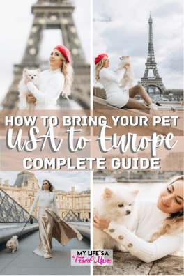 Wondering how to travel with your pet from USA to Europe? Here's an easy, straight forward guide for every mandatory step you need to take to travel with your pet to Europe, plus travel tips for when you arrive!